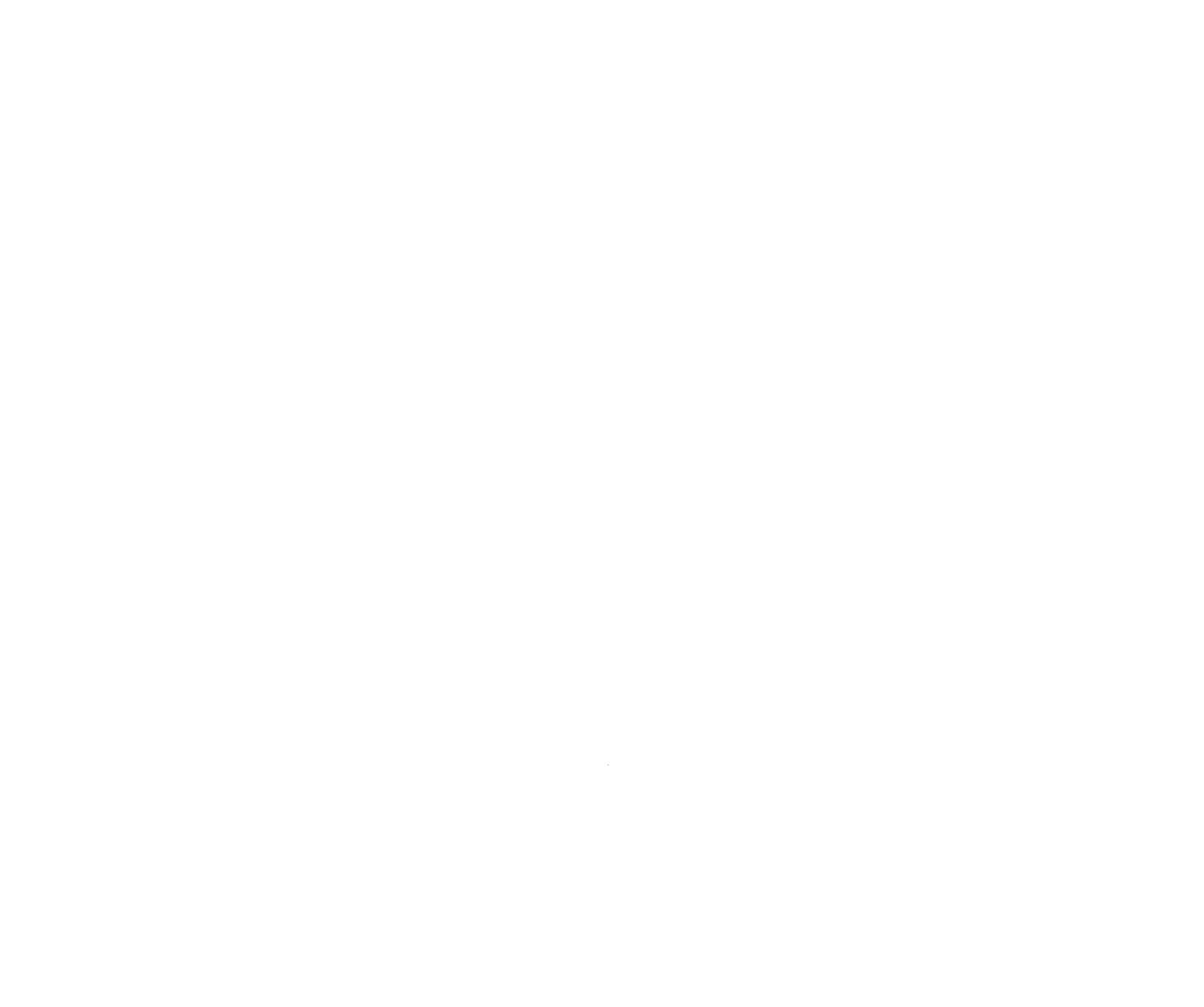 Academy Animal Hospital